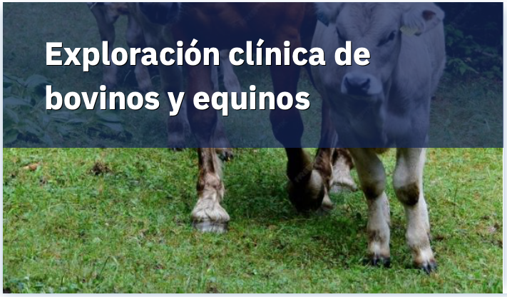 Técnicas de manexo reproductivo das especies domésticas